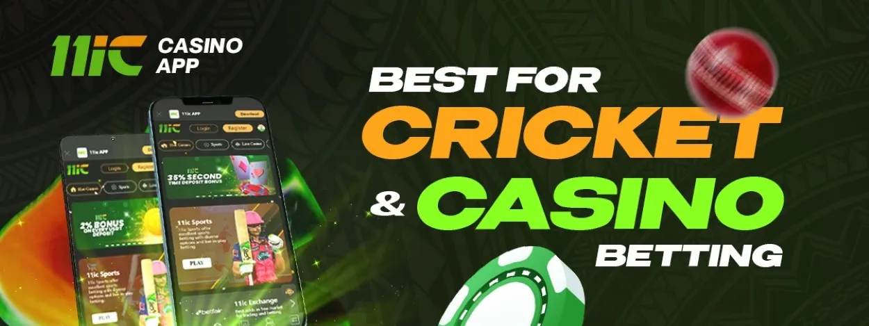 11ic casino app best for cricket and casino betting